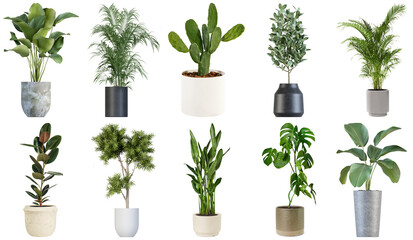 Fototapeta premium Collection of ten potted houseplants with various leaves and pots, isolated on a transparent background