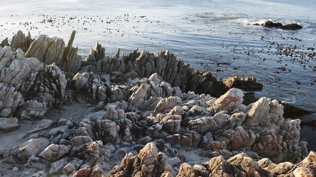 rocky coastline of DeKelders, Gansbaai, South Africa at sunset