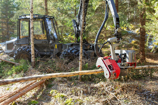 View of forester machine cutting tree logs