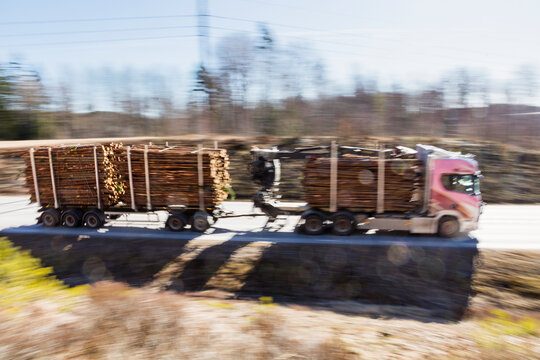 Truck loaded with tree logs moving on countryside road at sunny day