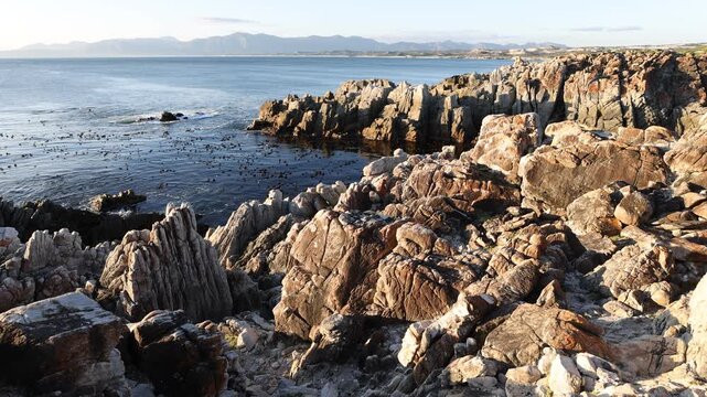 rocky coastline of DeKelders, Gansbaai, South Africa at sunset