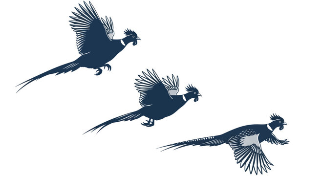 Three pheasants flying, illustration, blue silhouette, white background