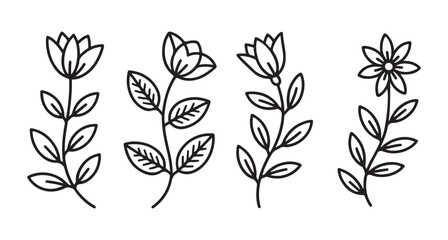 Obraz premium Set of four hand drawn botanical flowers with leaves in simple black line art style for creative design projects and decorative stationery illustrations isolated on a clean layout