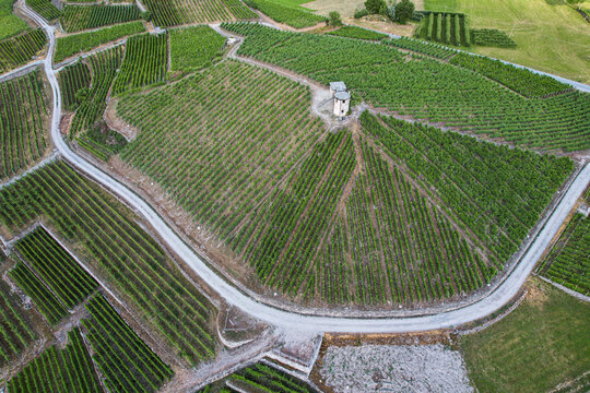 Aerial view of lush green vineyards with geometric rows of grapevines and a small stone tower in Aymavilles, Aosta Valley, Italy.