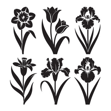 Set of six black silhouette flower icons including tulips daffodils and irises for spring garden floral design projects