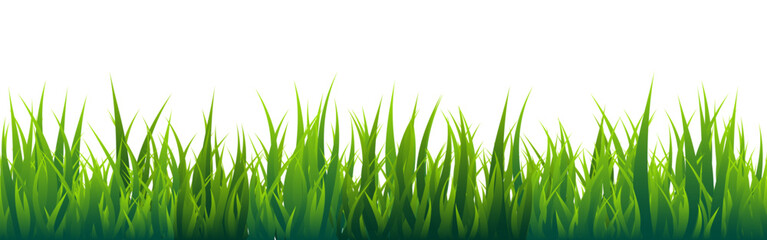 Fototapeta premium Meadow silhouette with green grass, plants on plain. Panoramic summer lawn landscape with herbs, various weeds. Herbal border, frame element. Black horizontal banners. Vector illustration