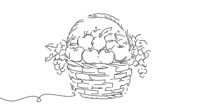 Animation of line drawing of fruit basket.