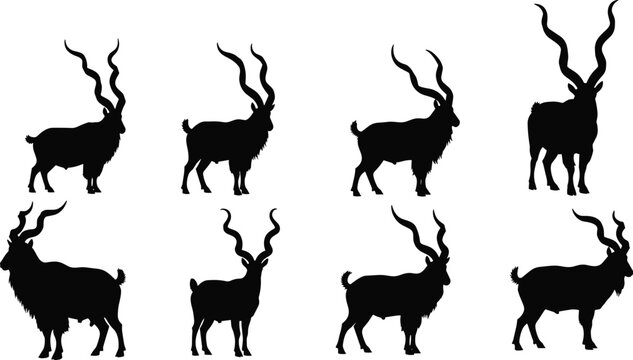 Markhor wild goat black silhouette vector set featuring various spiral horned animal shapes isolated on transparent background