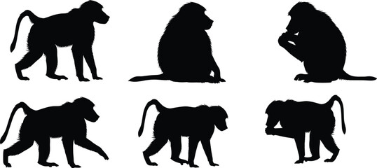Baboon primate solid black silhouette vector pack featuring various walking and sitting monkey shapes isolated on transparent background © Olivia