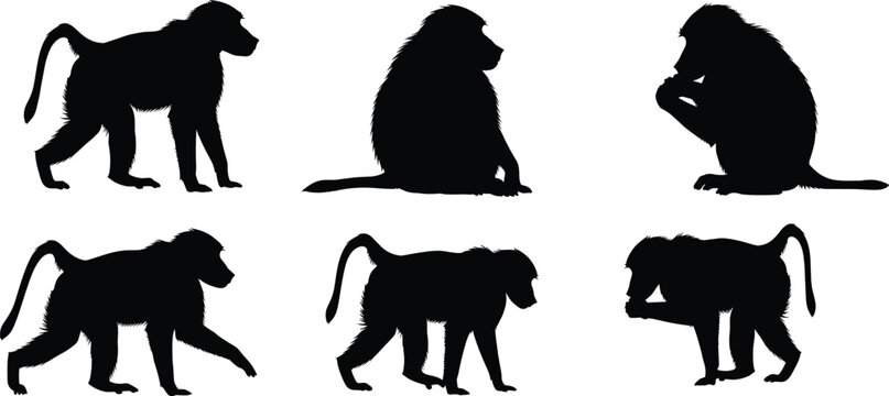 Baboon primate solid black silhouette vector pack featuring various walking and sitting monkey shapes isolated on transparent background