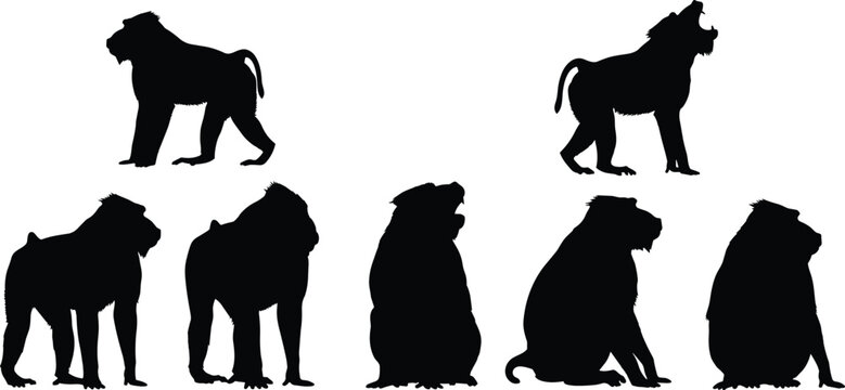 Mandrill baboon primate black silhouette vector set featuring various sitting and standing monkey shapes isolated on transparent background
