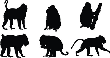 Mandrill baboon primate solid black silhouette vector collection featuring climbing and walking monkey shapes isolated on transparent background © Olivia