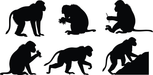 Gelada baboon primate black silhouette vector set featuring climbing and foraging wild monkey shapes isolated on transparent background © Olivia