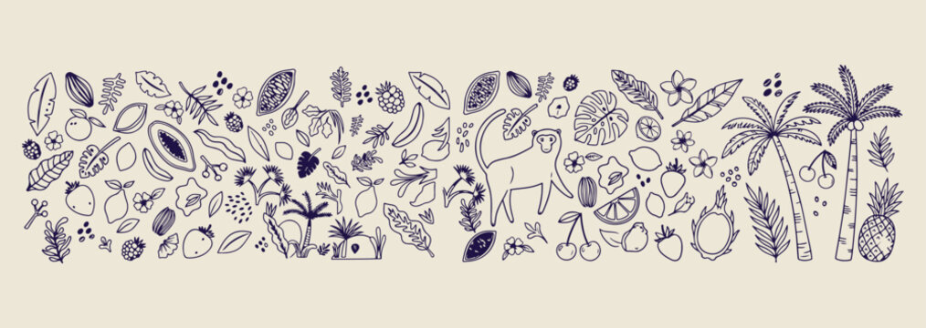monkey jungle nature drawing, minimalist wildlife animal sketch, clean tropical forest icon, modern jungle plant art, simple primate doodle graphic, wild animal forest sketch, premium vector nature se