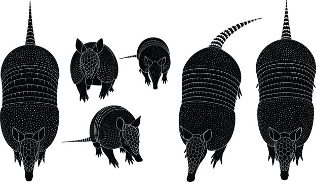 Armadillo vector black silhouette collection with detailed textured shell animal shapes isolated on transparent background