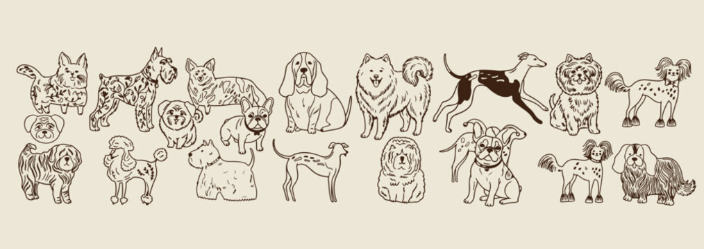 playful dog doodle collection, adorable pet canine sketches, various dog breed icons, minimalist puppy line art, clean animal drawing set, friendly pet dog graphic, premium vector animal set
playful, 