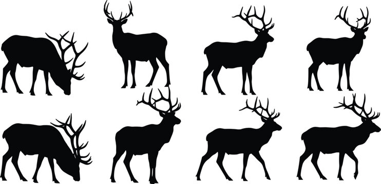 Wild elk animal silhouette vector set featuring various horned buck shapes isolated on transparent background