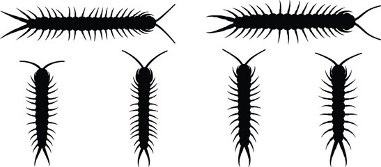 Centipede insect black silhouette vector set with multiple crawling bug icons isolated on transparent background © Olivia