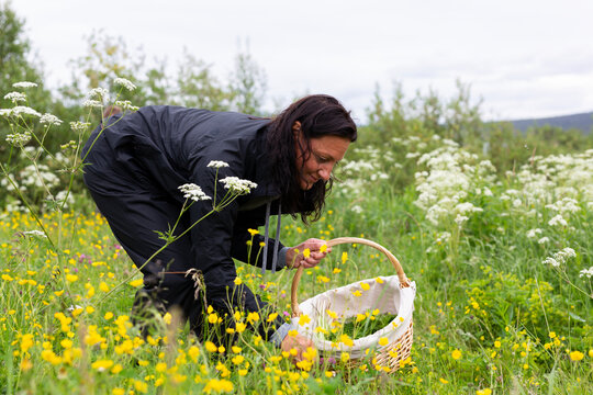 Smiling woman collecting flowers in basket
