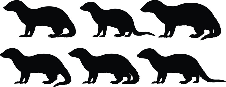 Mongoose silhouettes set vector illustration of wild carnivorous mammals in different walking poses isolated on transparent background