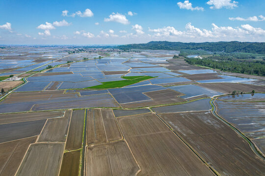 Aerial view of flooded rice fields creating geometric patterns under a blue sky with scattered clouds in Trino, Piemonte, Italy.