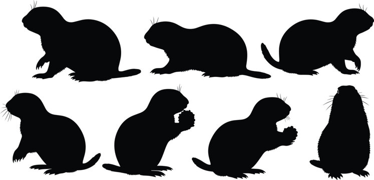 Prairie dog rodent black silhouette vector set featuring various sitting and eating animal shapes isolated on transparent background