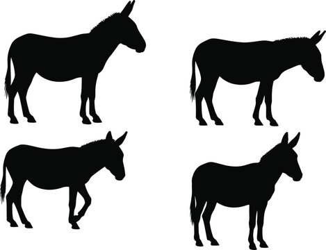 Domestic donkey farm animal black silhouette vector pack featuring various walking livestock shapes isolated on transparent background