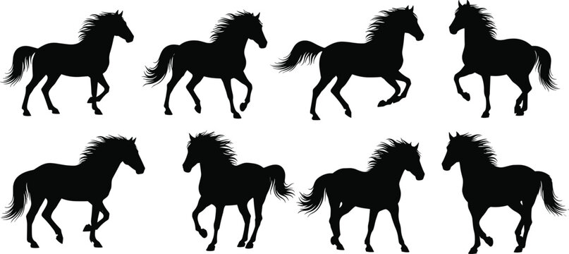 Galloping wild horse stallion black silhouette vector collection featuring trotting equine shapes isolated on transparent background