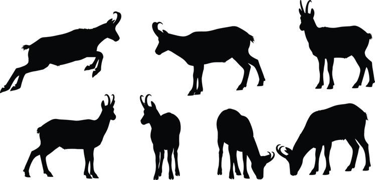 Wild chamois mountain goat black silhouette vector set featuring various leaping and grazing horned animal shapes isolated on transparent background