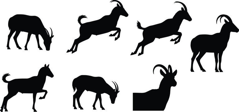 Wild tahr mountain goat vector silhouette set with various running and grazing horned mammal shapes isolated on transparent background