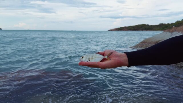 Hand Releasing Freshly Caught Sea Fish Back Into Tropical Ocean Near Rocky Shoreline Under Cloudy Sky, Catch and Release Recreational Fishing