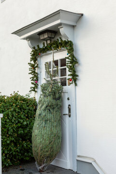 Christmas tree tightly bound in protective netting leaning against decorated front door