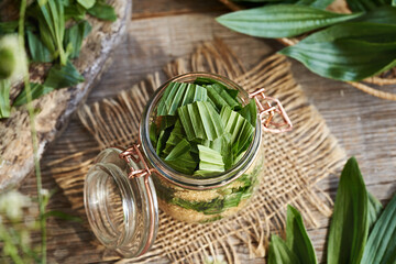 Glass jar filled with chopped ribwort plantain syrup leaves and sugar to prepare herbal syrup © Madeleine Steinbach