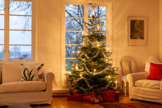 Illuminated decorated Christmas tree with garlands and lights in living room of house