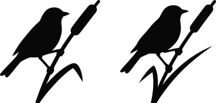 Black silhouette illustration of a songbird perched on a cattail reed in a wetland environment isolated on a white background for nature and wildlife design projects.