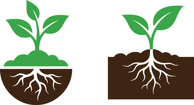 Young green plant sprout with visible roots growing in fertile soil icon set representing agriculture growth and environmental sustainability isolated on white background.