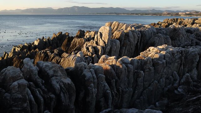 rocky coastline of DeKelders, Gansbaai, South Africa at sunset