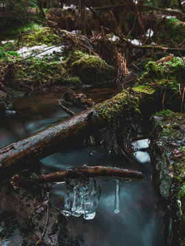 High angle view of icicle formed on tree trunk above stream in forest during winter