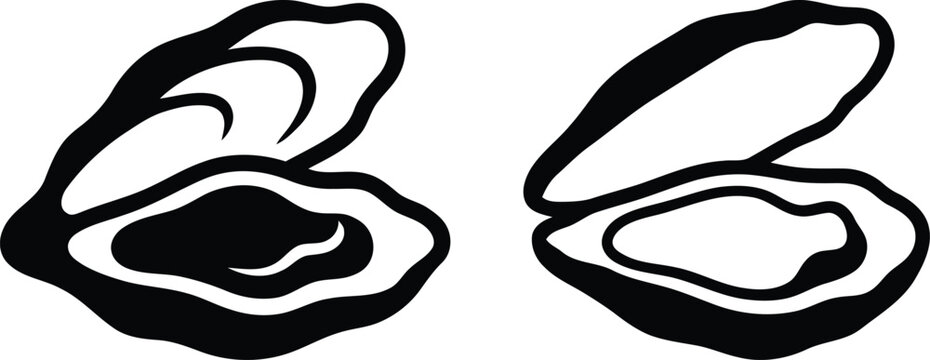 Black and white vector illustration of open oyster shells and mussels showing fresh seafood details for restaurant menus and marine life educational graphics or ocean themes.