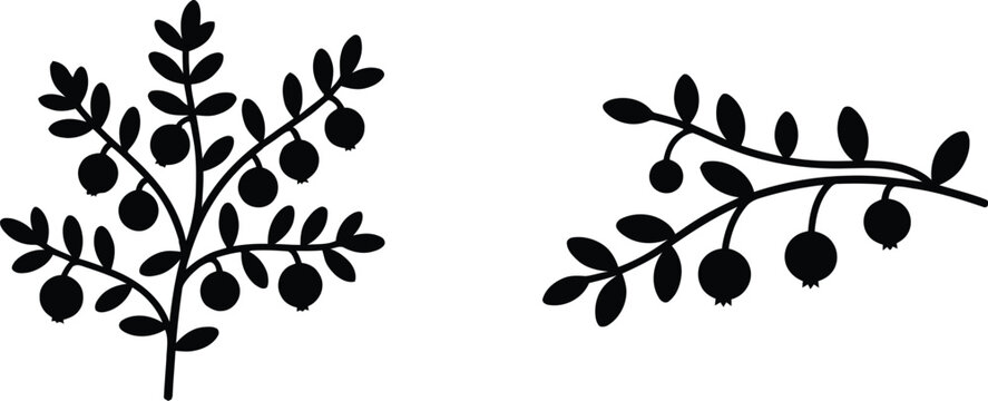 Black silhouette illustration of wild berry branches and shrubs featuring cranberry or lingonberry fruits isolated on a white background for botanical and nature designs.