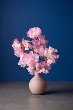 Shot of pink sweet pea flowers in small vase against blue background