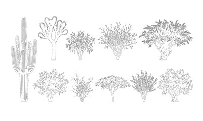 CAD line art desert shrub and cactus elevation set, outline arid scrub and saguaro symbols for southwestern landscape and architectural design plans. Editable stroke vector, white fill. © Muhammad