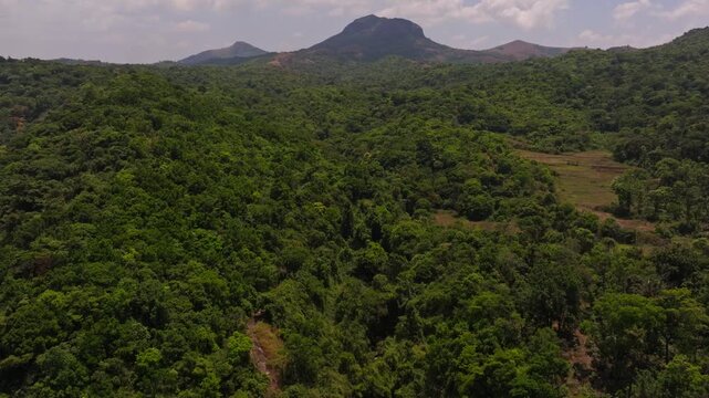 mountains with forest, cloudy sky and Surlabbi Waterfalls at Coorg, karnataka, india. day time, tilt down shot, drone shot, 4k.
