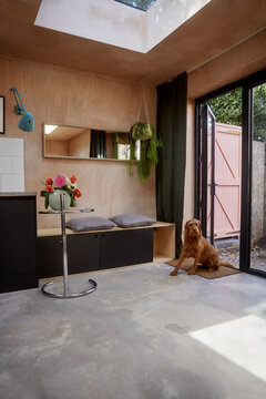Vizsla dog sitting on doormat near door of modern house