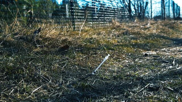 Abandoned used syringe with a hypodermic needle lying on the ground among dry grass, a dangerous symbol of drug abuse, addiction, and the opioid crisis in a public park