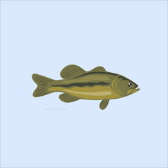 Fototapeta premium Bass fish cartoon illustration with green body, freshwater fish, aquatic wildlife, fishing and educational animal design