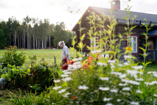 Senior woman standing near plants in garden