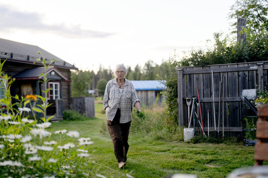 Full length of senior woman holding harvested plant walking with hand in pocket at back yard