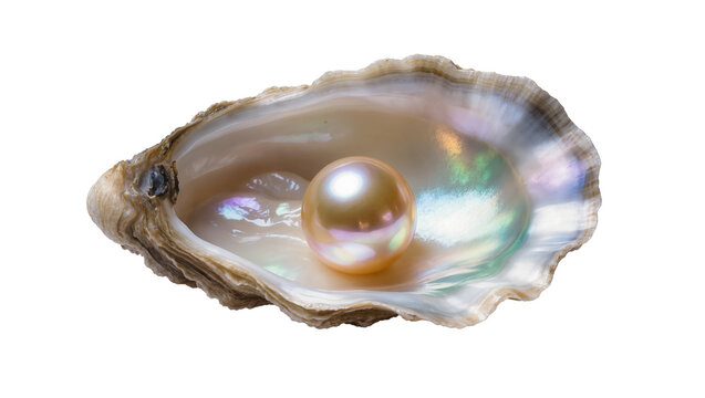 Single lustrous golden pearl nestled inside a textured oyster shell, isolated on transparent background