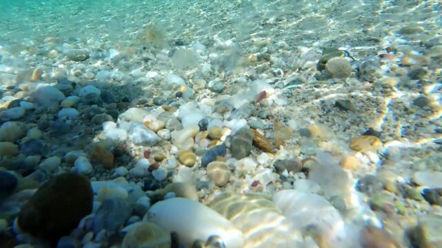 Underwater view of a translucent comb jelly refracting rainbow light in the clear Aegean Sea of Greece